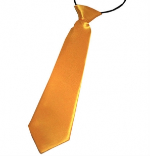 Burnt Yellow Boys Tie Burnt Yellow Boys Tie